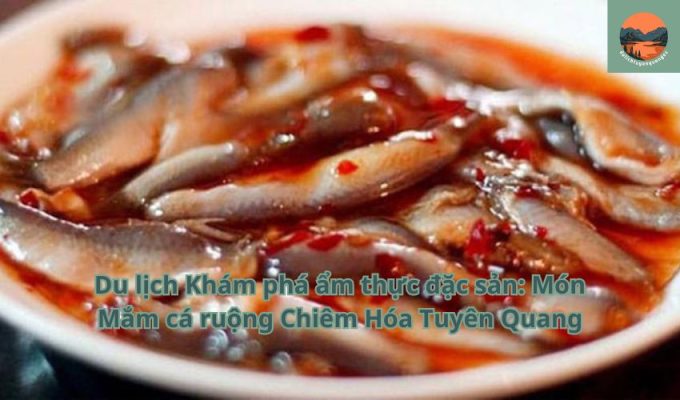 Du lịch Khám phá ẩm thực đặc sản: Món Mắm cá ruộng Chiêm Hóa Tuyên Quang