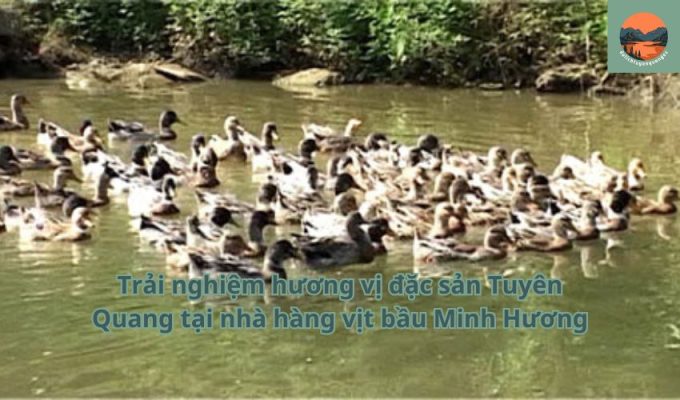 Trải nghiệm hương vị đặc sản Tuyên Quang tại nhà hàng vịt bầu Minh Hương