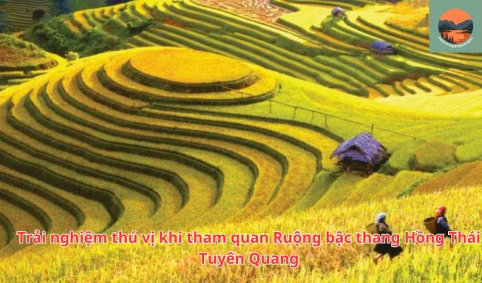 Trải nghiệm thú vị khi tham quan Ruộng bậc thang Hồng Thái Tuyên Quang